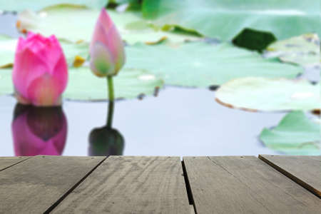 Defocused and blur image of terrace wood and Pink fresh lotus bud flower in pond for background usageの写真素材