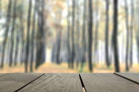 Defocus and blur image of terrace wood and Pine forest for background usageの写真素材