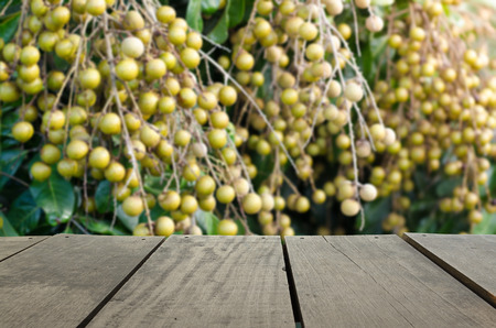 Defocus and blur image of terrace wood and Fresh longan on branch for background usageの写真素材