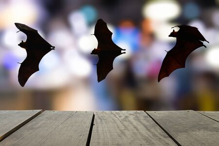 Terrace wood and bats flying in sky with bokeh of city lighting for background usage