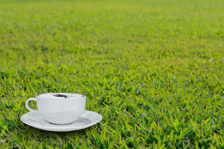 cappuccino coffee on green grass in morning timeの写真素材