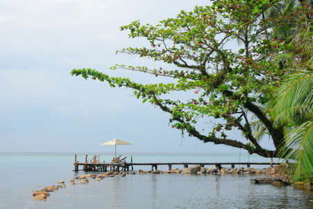 Wooden bridge into the sea in summer timeの写真素材