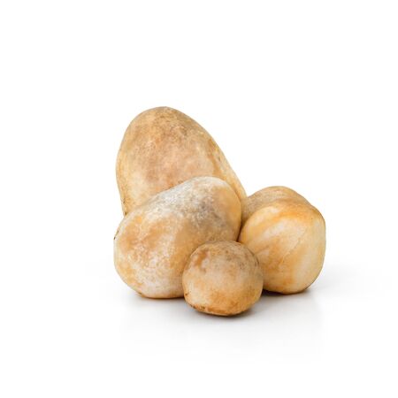 Volvariella volvacea, Straw Mushroom on white backgroundの写真素材