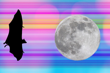 Bat silhouettes with full moon on digital technology background - Halloween festivalの写真素材