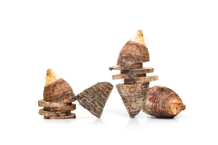 Beautiful Fresh Taro isolate on white backgroundの写真素材