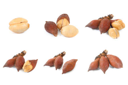 Collection of Salak snake fruit isolated on white backgroundの写真素材