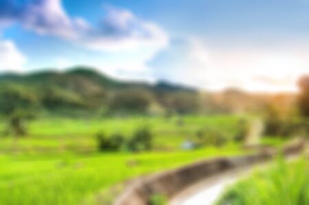Blur background of agriculture farm in morning timeの写真素材