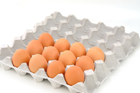 Eggs in paper tray isolated on whiteの写真素材