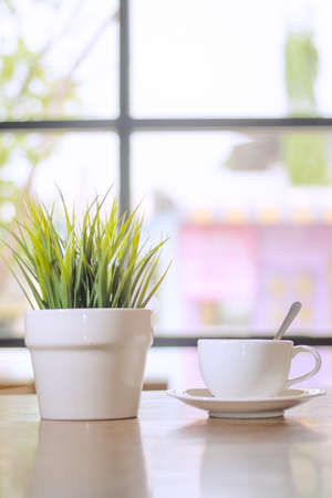 A small plant near window with coffee cup
