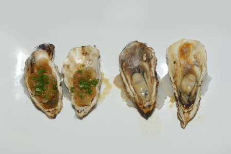 Fresh oysters : Fresh appetizer Seafoodの写真素材