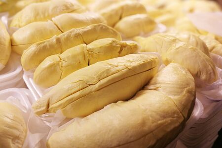 Durian tropical fruit of southeast asiaの写真素材