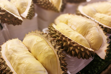 Durian tropical fruit of southeast asiaの写真素材