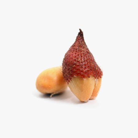 Tropical fruit : Salak snake fruit isolated on white backgroundの写真素材