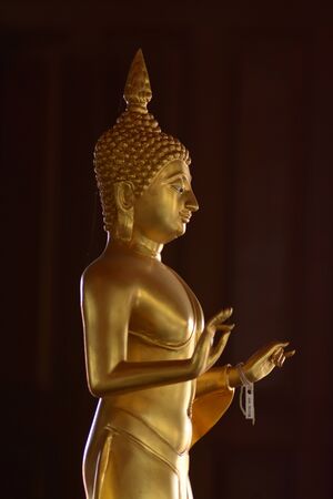 Golden of buddish state in the art style ,Wat Krathum Suea Pla templeの写真素材