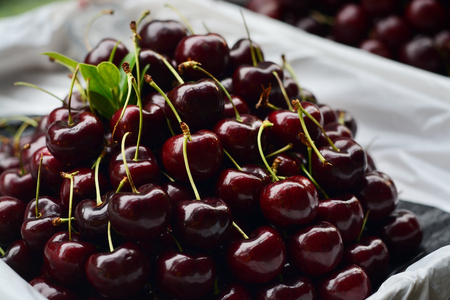 Fresh Black cherries ,Berry fruit in market shop.の写真素材