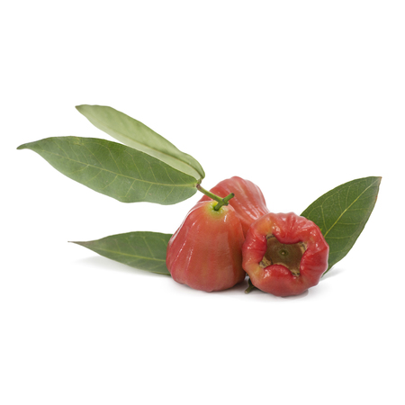 water apple or  rose apple or bell fruit on white backgroundの写真素材