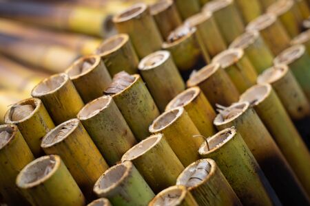 Sweet sticky rice in bamboo in thai dessert name is Khao Lam.
