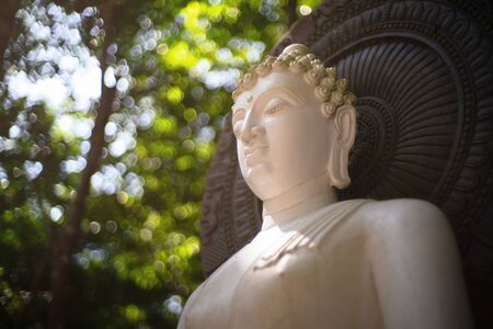White buddha in the garden of Suan Mok Phalaram temple or Wat Suan Mok Phalaram.の写真素材