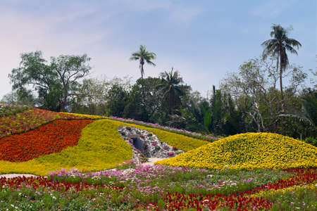 Samutprakan , Thailand - FEB 23 2020 : Dok kachao meadow, This is new destination and highlight of travel in Thailandのeditorial素材