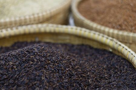 Oryza sativa ,Organic Black rice in Wicker basketの写真素材