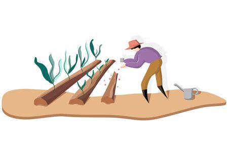 Farmer agriculturist hands put high quality seed ripe into Agricultural plot, vector cartoon flat designのイラスト素材