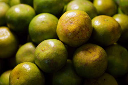 Tropical avocado fruit on greengrocery fruit shop
