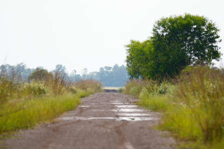 Butterfly perching on leaf as backgroundの写真素材