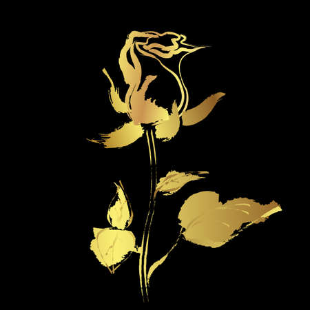 Rose flower with brush stroke painting over black backgroundのイラスト素材
