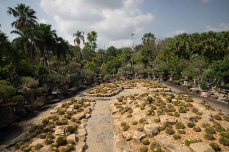 CHONBURI ,THAILAND - APRIL 15,2022 : The best of garden of the world at Nongnooch Garden .This location is famous place and destination of Thailand ,Pattaya ,Chonburi ,Thailandのeditorial素材