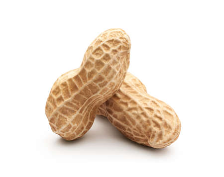 Peanut isolated on white background
