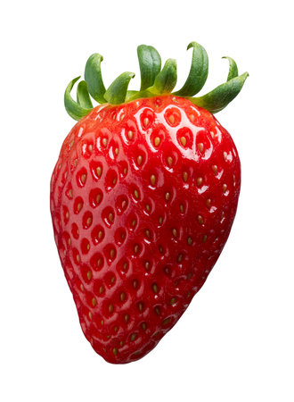 Single strawberry isolated on white backgroundの写真素材