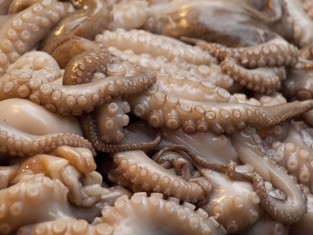 Squid on a foodmarket in Venice, Italyの写真素材