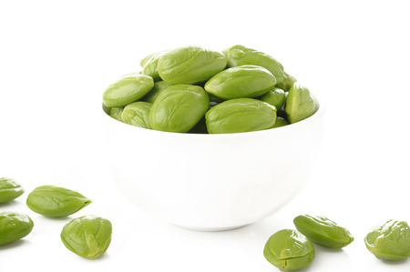 Parkia speciosa on white backgroundの写真素材