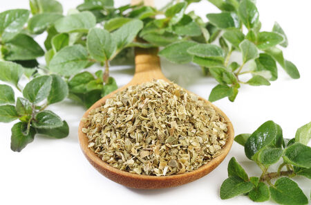 Dried oregano leaves on wooden spoonの写真素材