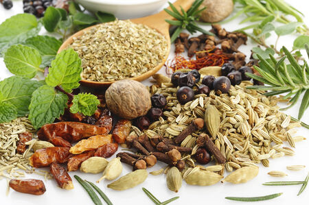 fresh flavoring herbs and spices on white backgroundの写真素材