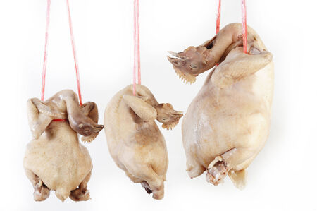 Steamed chickensの写真素材