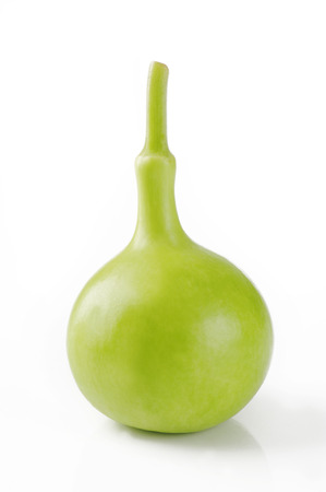 calabash on white backgroundの写真素材