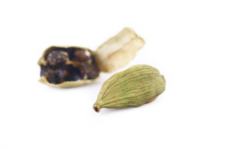 cardamon with cardamon seedsの写真素材