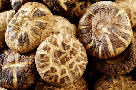 dried shiitake mushroomsの写真素材