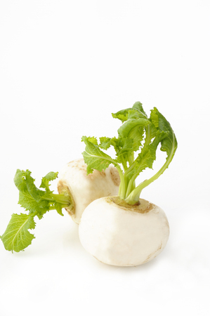 Turnip with leaves on white backgroundの写真素材