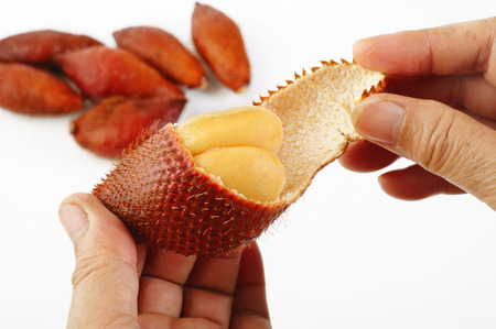 Peeled zalacca on whiteの写真素材