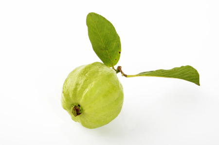 Guava with leaf on whiteの写真素材