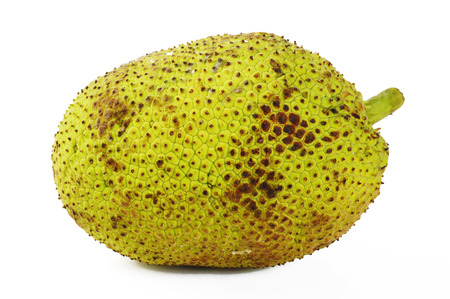 Breadfruit on white backgroundの写真素材