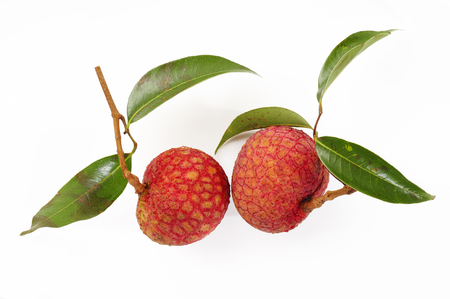 Fresh lychees on whiteの写真素材