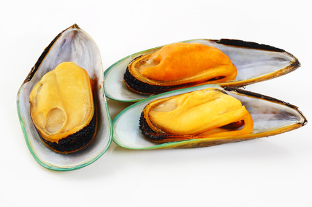 three mussels on white の写真素材