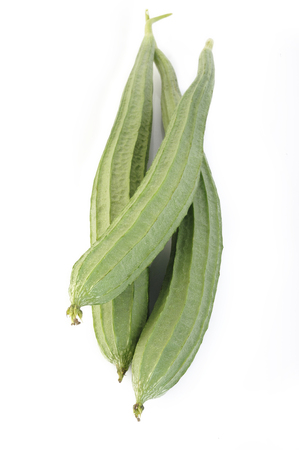 Angled loofah on white backgroundの写真素材