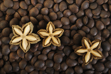 dried sacha inchi on roasted sacha inchi seeds backgroundの写真素材