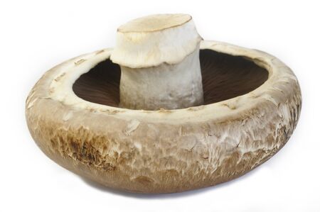 portobello mushroom on white backgroundの写真素材