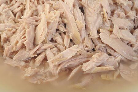 tuna fish canned backgroundの写真素材
