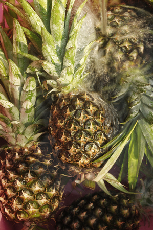 fresh pineapple in water splashesの写真素材